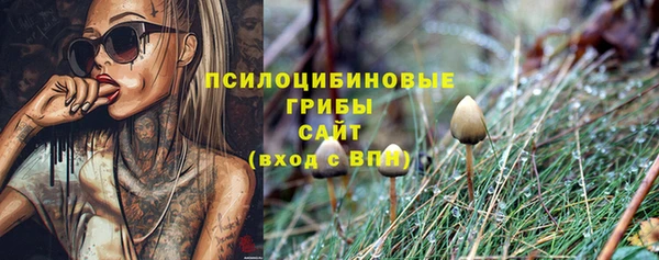 спиды Абаза