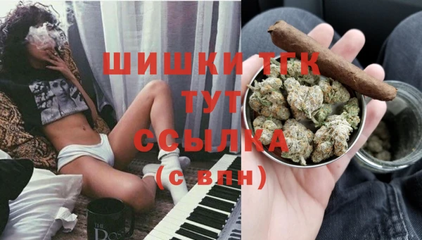 спиды Абаза