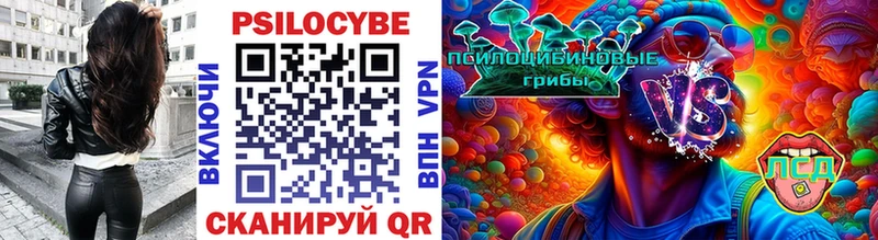 кракен зеркало Кисловодск Псилоцибиновые грибы Magic Shrooms