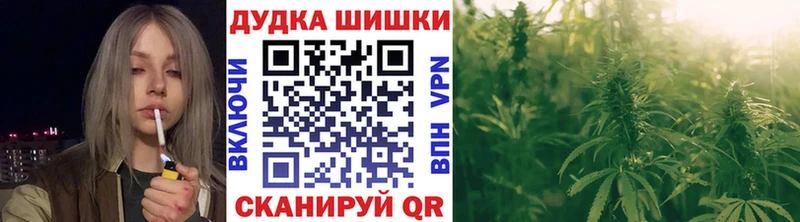 где можно купить наркотик Кисловодск нарко площадка наркотические препараты Бошки Шишки конопля